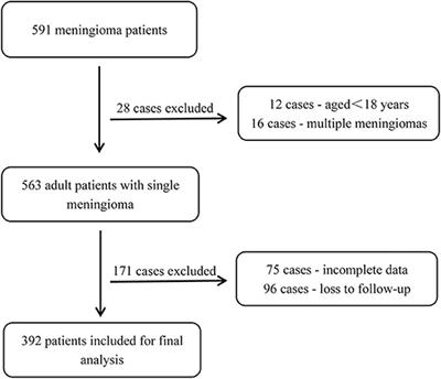 A Quantified Risk-Scoring System for the Recurrence of Meningiomas: Results From a Retrospective Study of 392 Patients